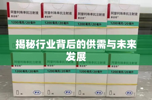 广州揭秘行业背后的供需与未来发展