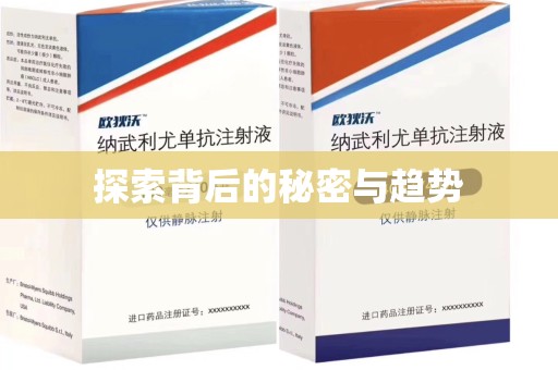 广州探索背后的秘密与趋势