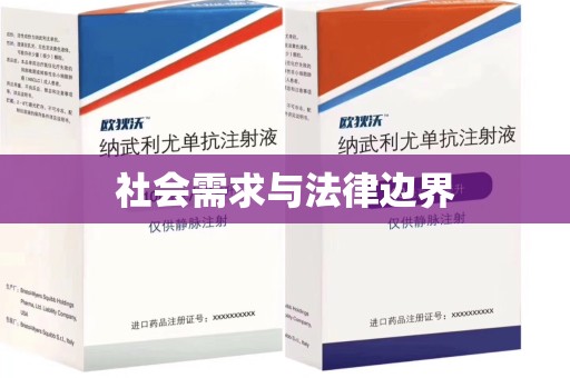 广州社会需求与法律边界