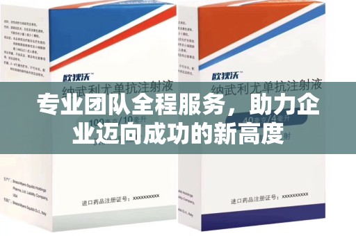 广州专业团队全程服务，助力企业迈向成功的新高度