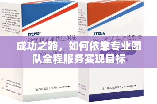 广州成功之路，如何依靠专业团队全程服务实现目标